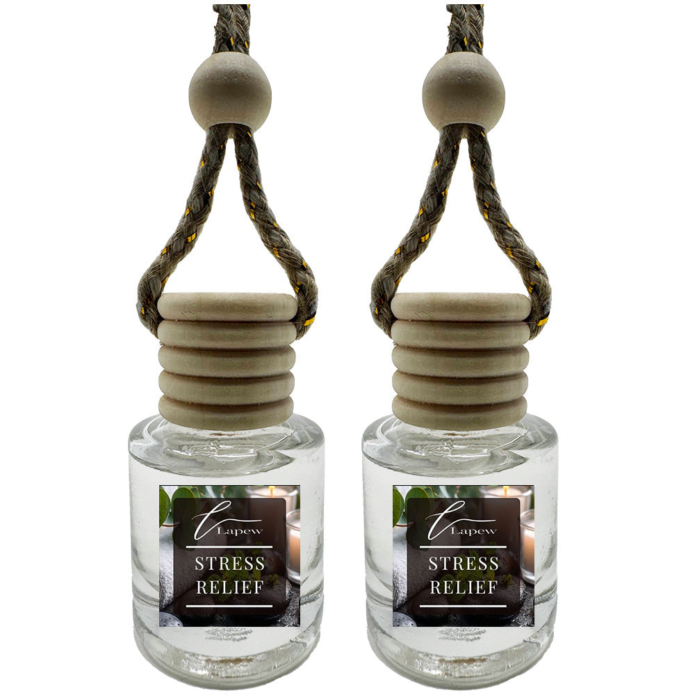 Hang-Anywhere Diffuser for Car, Bathroom & Closets