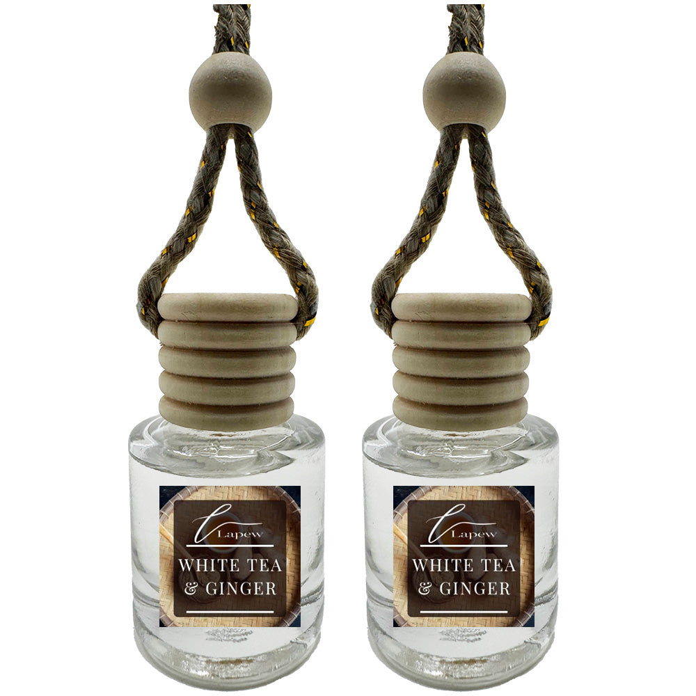 Hang-Anywhere Diffuser for Car, Bathroom & Closets