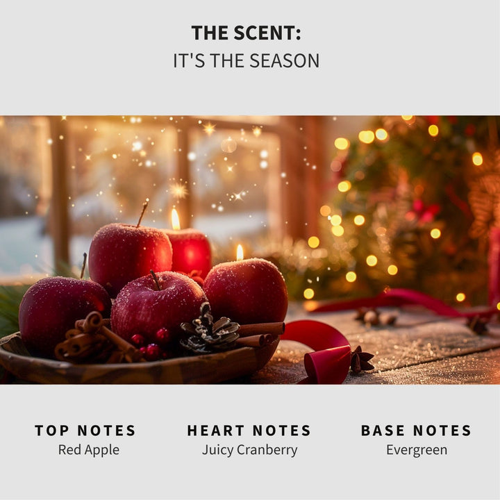 Its The Season Scented Mop Soap